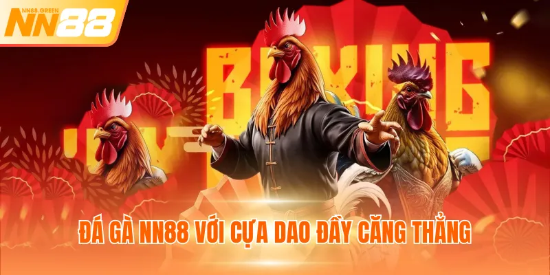 Đá gà NN88 với cựa dao đầy căng thẳng